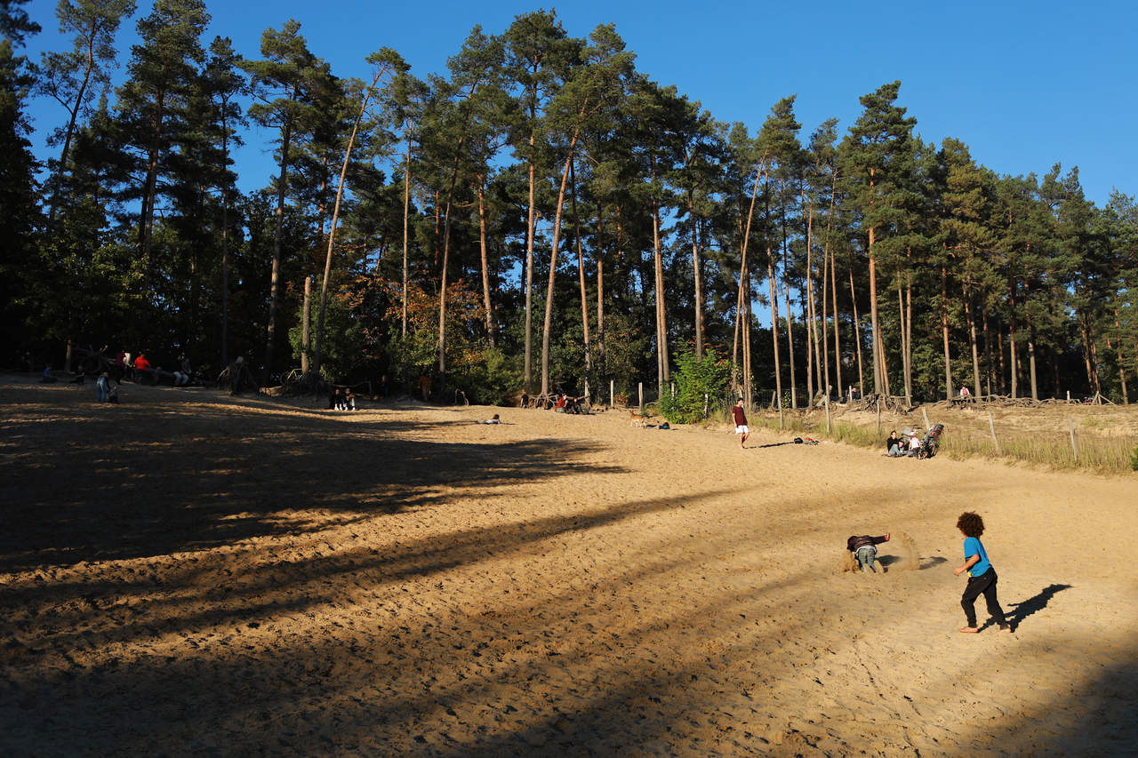 auf der Suche nach interessanten Orten in Berlin - hier ist er! eine Sanddüne im Grunewald hat noch jeden Großstädter entspannt und relaxt! Einfach mal ausprobieren, am Besten mit Kleinkind und unserer Kindertrage!